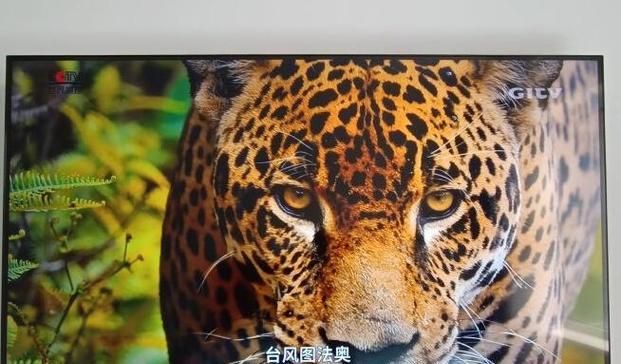 TCL9600（领先科技激发全新体验）