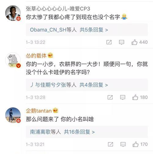 玉兔号（以玉兔号现在的状态为主题，回顾其历史与未来发展前景）