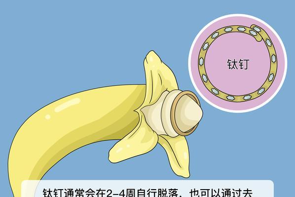高新鼎好——成就卓越，引领未来（以技术创新为核心，实现全球领先地位）