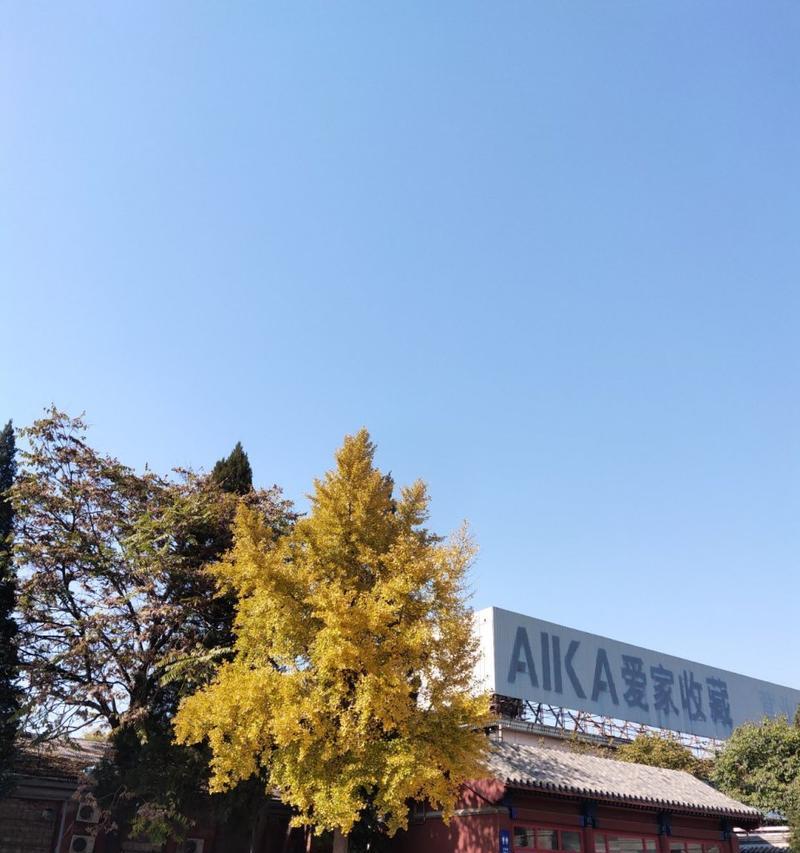 爱家锋芒X10（探索智能家居的新尖兵）
