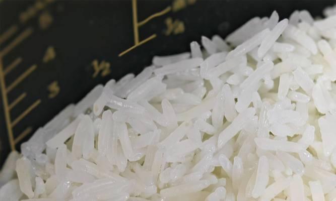 小米电饭煲煲汤新体验（解锁美味健康，小米电饭煲带来的煲汤新方式）