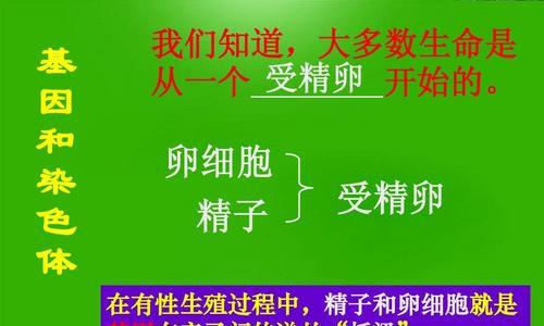 受精卵基因的影响及其潜在结果（基因对受精卵发育和特征形成的关键作用及其可能带来的影响）