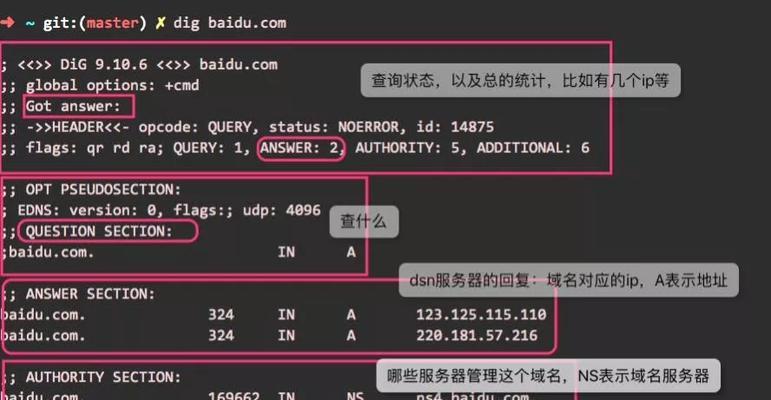 电脑DNS重置命令的作用及使用方法（解决网络连接问题的一招鲜）